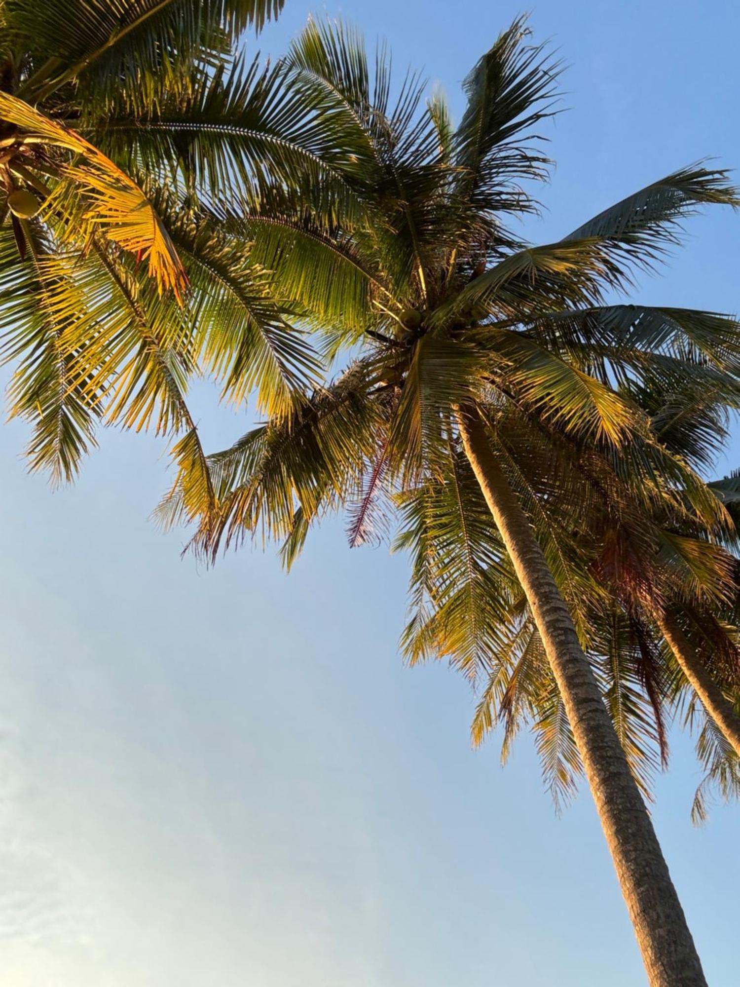 Coco Canopy Boutique Resort Koh Jum Dış mekan fotoğraf