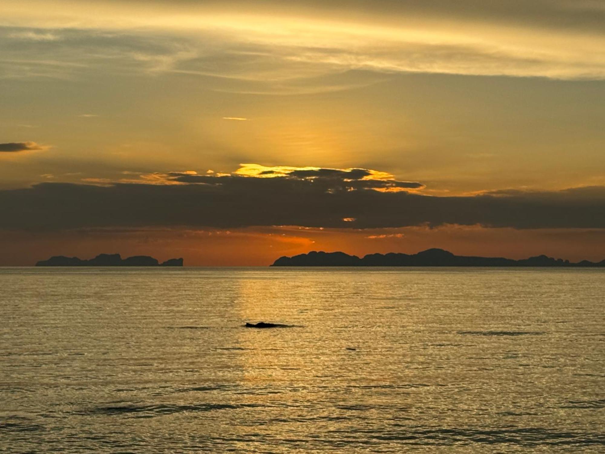 Coco Canopy Boutique Resort Koh Jum Dış mekan fotoğraf